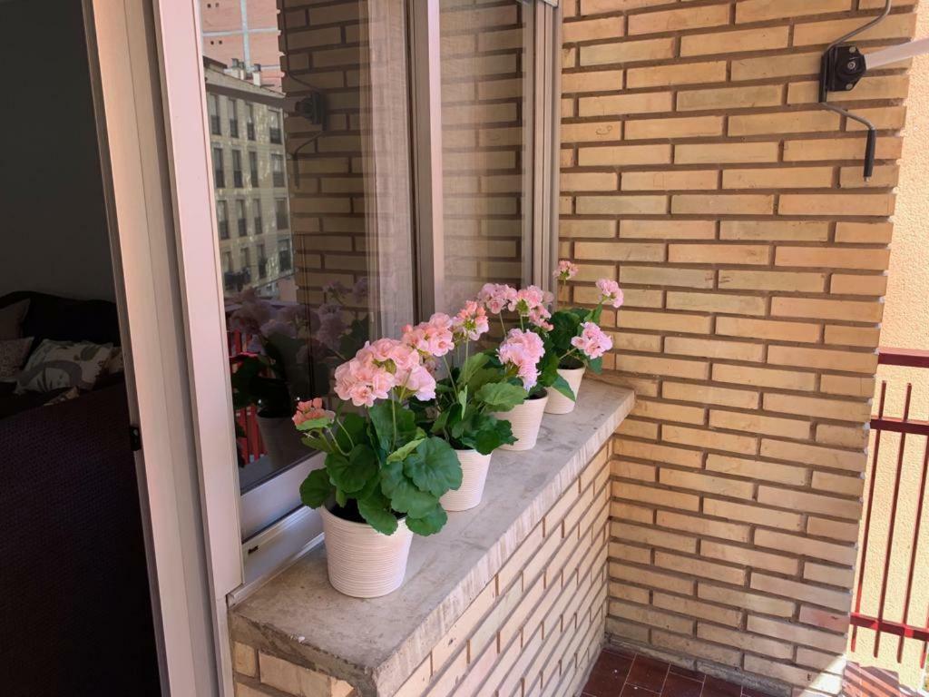 Apartamento Murrieta 洛格罗尼奥 外观 照片